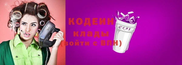 шишки Дмитровск
