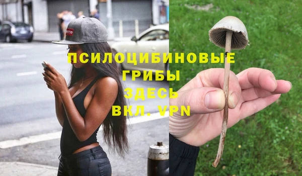 дурь Дмитриев