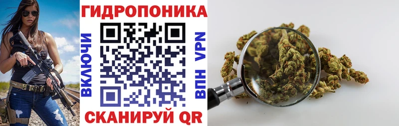 где продают наркотики  Североуральск  Марихуана THC 21% 